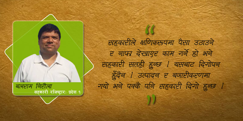 यो वर्ष अनुगमनको वर्ष हुन्छ